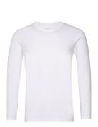 NORVIG Men's O-Neck L/S T-Shirt, Cotton/Stretch Vit