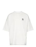 Adidas Originals Tee Vit