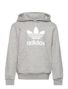 Adidas Originals Trefoil Hoodie Grå