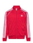 Adidas Originals Sst Track Top Röd