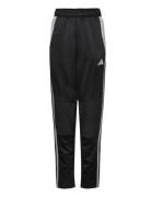 Adidas Performance Tiro24 Winpty Svart