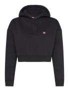 Dickies Oakport Cropped Hoodie Svart