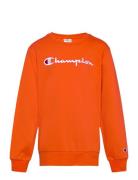 Champion Crewneck Sweatshirt Orange