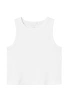 Name It Nkfnakal Sl Crop Top Noos Vit
