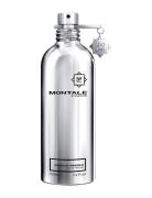 Montale Vanille Absolu Edp 100 Ml Nude