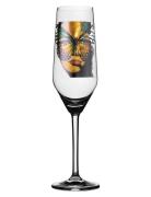 Carolina Gynning Golden Butterfly Champagneglas Nude