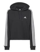 Adidas Sportswear W 3S Ft Cr Hd Svart