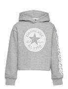 Converse Converse Signature Cropped Hoodie Grå