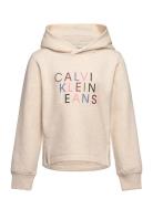 Calvin Klein Colour Logo Fleece Hoodie Kräm