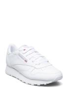 Reebok Classics Classic Leather Vit