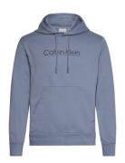 Calvin Klein Raised Line Logo Hoodie Blå