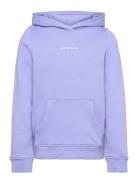 Tom Tailor Logo Hoodie Lila