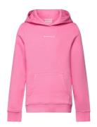 Tom Tailor Logo Hoodie Rosa