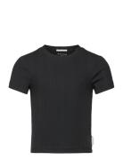 Tom Tailor Cropped Rib T-Shirt Svart