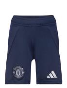 Adidas Performance Manchester United Fc A Sho Y Blå