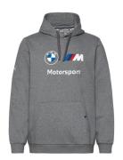 PUMA Motorsport Bmw Mms Ess Hoodie Fleece Grå