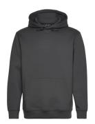 Virtus Taro M Technical Hoody Grå