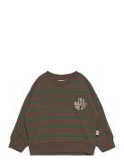 Petit Piao Sweat Shirt Line Brun