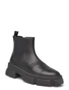 Steve Madden Travis Chelsea Boots Svart