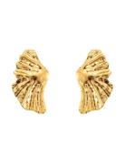 By Jolima Feather Earring Guld