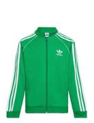 Adidas Originals Sst Track Top Grön