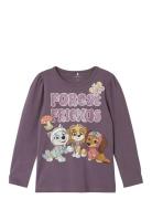 Name It Nmfsusanne Pawpatrol Ls Top Box Cplg Lila