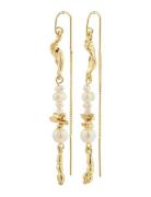 Pilgrim Intent Chain Earrings Guld