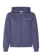 GANT Reg Printed Graphic Zip Hood Blå