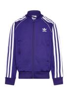 Adidas Originals Sst Track Top Lila