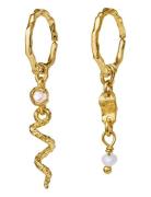 Maanesten Evelyn Earrings Guld