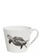 Maxwell & Williams Mugg Sea Turtle Vit