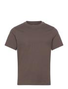 Weekday Short Boxy Heavyweight T-Shirt Brun