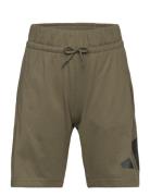 Adidas Sportswear J Bl Kn Sh 210 Khaki Green