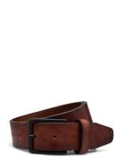 Saddler Montevideo Brun