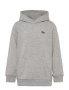 Levi's Po-Pull-Over Hoody Grå