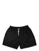 Portia 1924 Solid Swim Shorts Svart