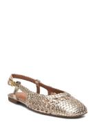 UNISA Brejo_Shf Guld