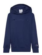 Champion Hooded Sweatshirt Marinblå