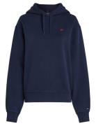 Tommy Hilfiger Reg Contrast Flag Hoodie Marinblå