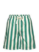 The New Tnnibes Swim Shorts Grön