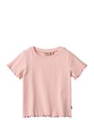 Wheat Rib T-Shirt S/S Irene Rosa