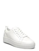ALDO Meadow Vit