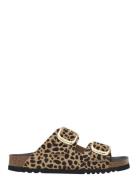 Scholl Sl Noelle Leather Leopard Multi/patterned