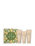 Origins The Ginger Body Cream Mother's Day Collection Gifting Set Nude