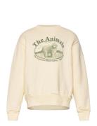 THE ANIMALS OBSERVATORY Bear Kid Sweatshirt White Logo Kräm