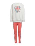 Adidas Originals Crew Leg Set Multi/patterned