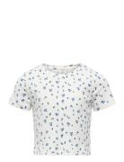 Kids Only Kogbella Life Short Aop S/S Top Jrs Noos Vit