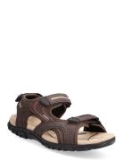 GEOX Uomo Sandal Strada D Brun