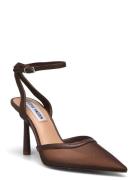 Steve Madden Alliance-M Heel Brun