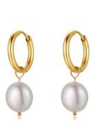 By Jolima Sienna Mini Pearlearring, Gold Guld
